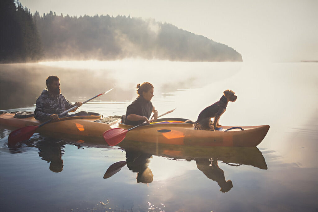 kayaking with dogs