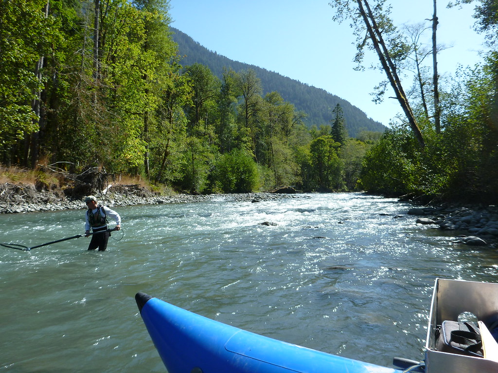 kayaking olympic national park