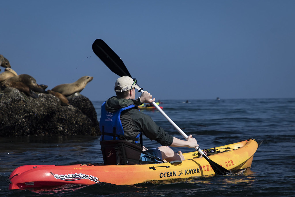 kayaking in the ocean