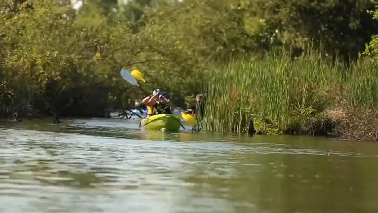 Sunset Social Paddles Lodi Lake