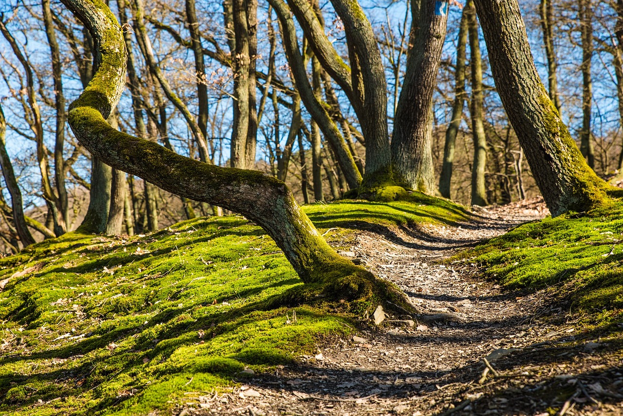 hiking appalachian trail meals